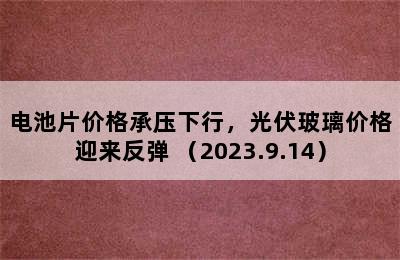 电池片价格承压下行，光伏玻璃价格迎来反弹 （2023.9.14）